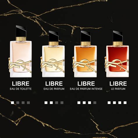 libre perfume notes|ysl libre intense notes.